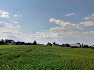 Działka budowlana Gola