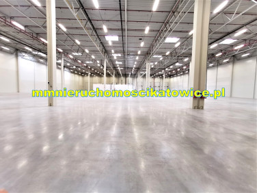 Budynek użytkowy Katowice