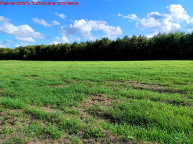 Działka budowlana Łebień