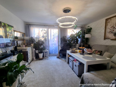 Mieszkanie Jelenia Góra