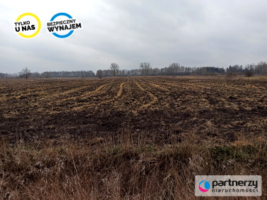 Działka rolna Roszkowo