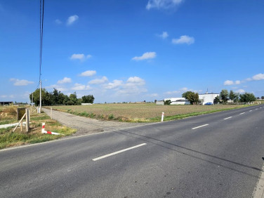 Działka budowlana Szewce sprzedam