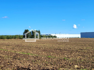 Działka rolna Gdańsk