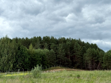 Działka budowlana Studzianki