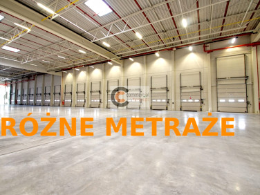 Budynek użytkowy Kraków wynajem