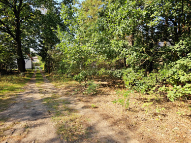 Działka budowlana Sulejówek