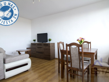 Mieszkanie Katowice wynajem