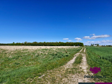 Działka budowlana Koszalin