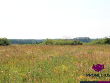 Działka budowlana Koszalin