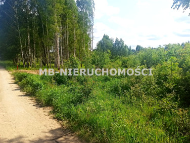 Działka nad jeziorem