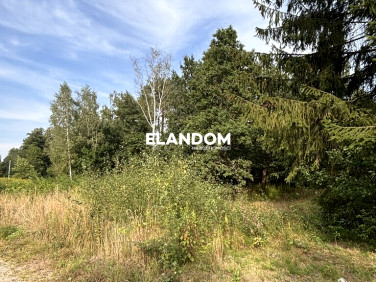 Działka budowlana Lipowo