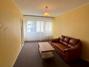 Mieszkanie blok mieszkalny wynajem