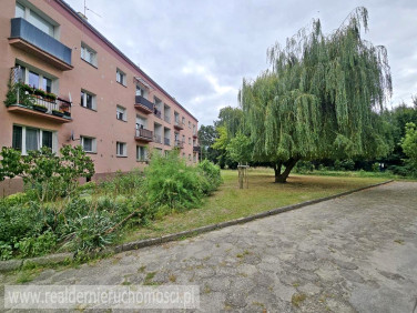 Mieszkanie Zielona Góra