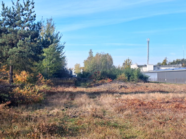 Działka usługowa Sulejówek