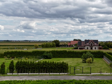 Działka Borków Stary