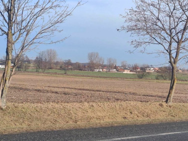 Działka Piotrków Trybunalski