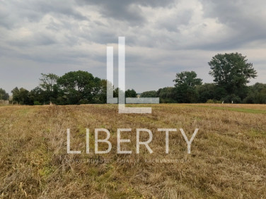 Działka rolna Barnisław