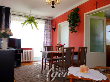 Mieszkanie Zielona Góra