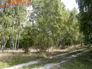 Działka rekreacyjna Łazisko sprzedam