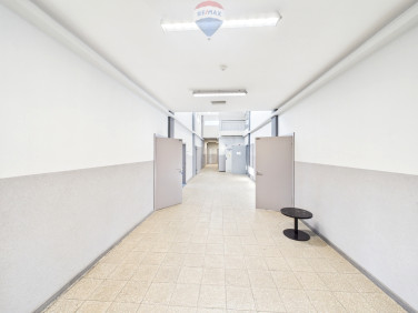 Lokal Rybnik wynajem