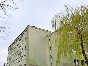 Mieszkanie Brzeg Dolny