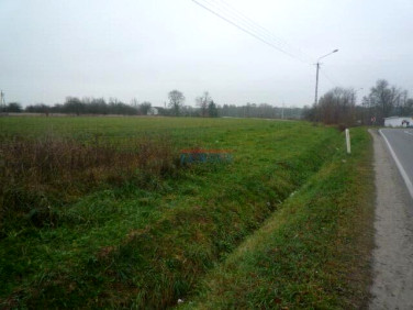 Działka rolna Prażmów sprzedam