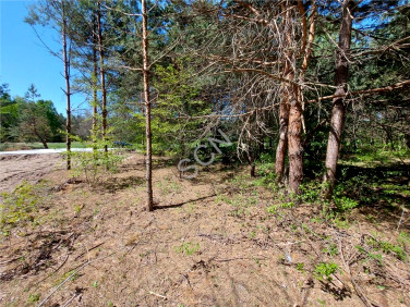 Działka budowlana Sulejówek