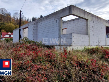 Dom wolnostojący sprzedaż