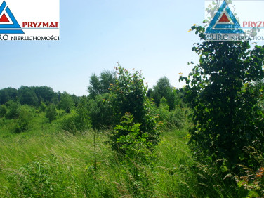 Działka budowlana Mokiny