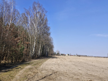 Działka budowlana Prażmów