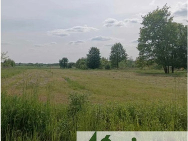 Działka budowlana Książenice