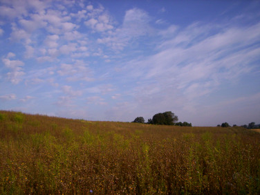 Działka budowlana Osiedle Poznańskie