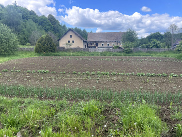 Działka przemysłowa Czernica