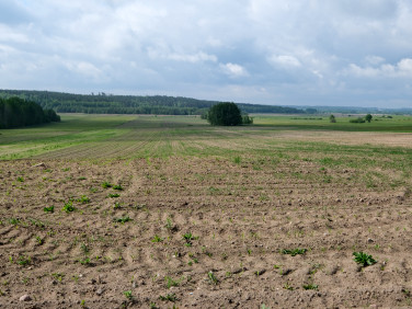 Działka budowlano-rolna Studzianki