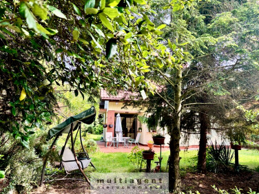 Dom Wołczkowo sprzedaż