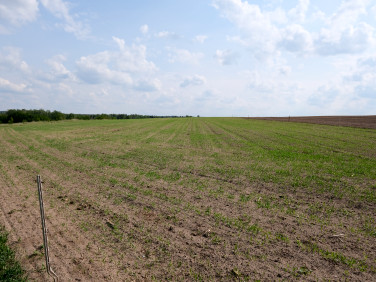 Działka budowlano-rolna Jurowce