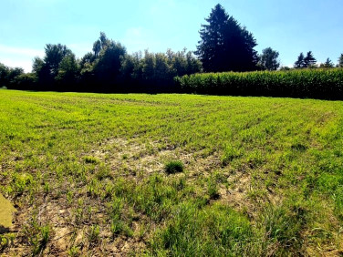 Działka inwestycyjna Lublin