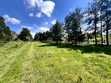 Działka budowlana Szczenurze sprzedam