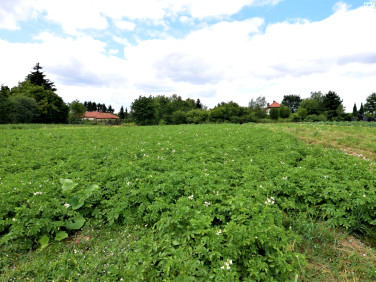 Pusta działka Szerokie