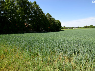 Działka budowlana Uniszowice
