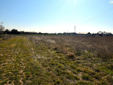 Działka budowlana Łęczna