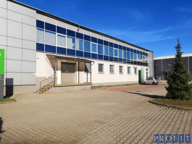 Budynek użytkowy Katowice wynajem