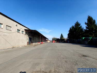 Budynek użytkowy Sosnowiec