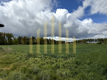 Działka przemysłowa Bojano