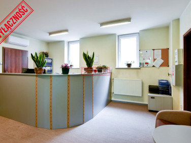 Lokal Kraków wynajem