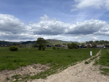 Działka budowlana Pisarzowice