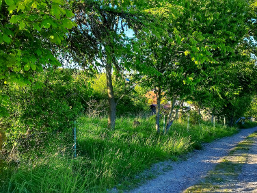 Działka budowlana Mierzeszyn