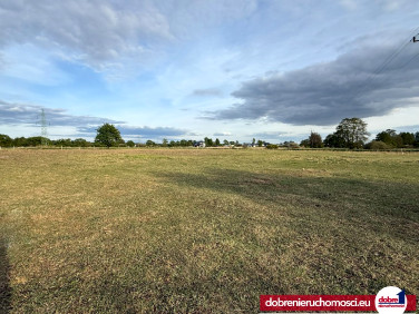 Działka budowlana Przyłęki