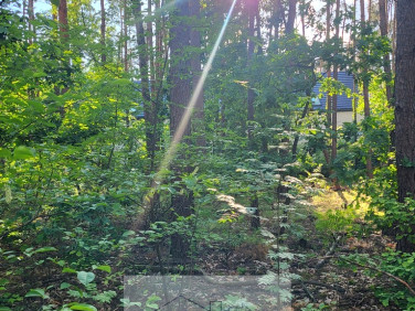 Działka budowlana Józefów sprzedam