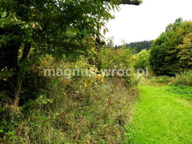Działka budowlana Łomnica